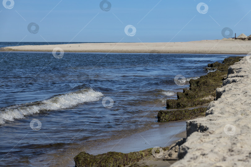 Скачать Вид на Балтийское море фотосток Ozero