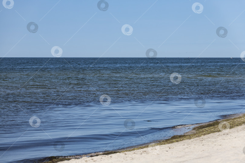 Скачать Берег Балтийского моря фотосток Ozero