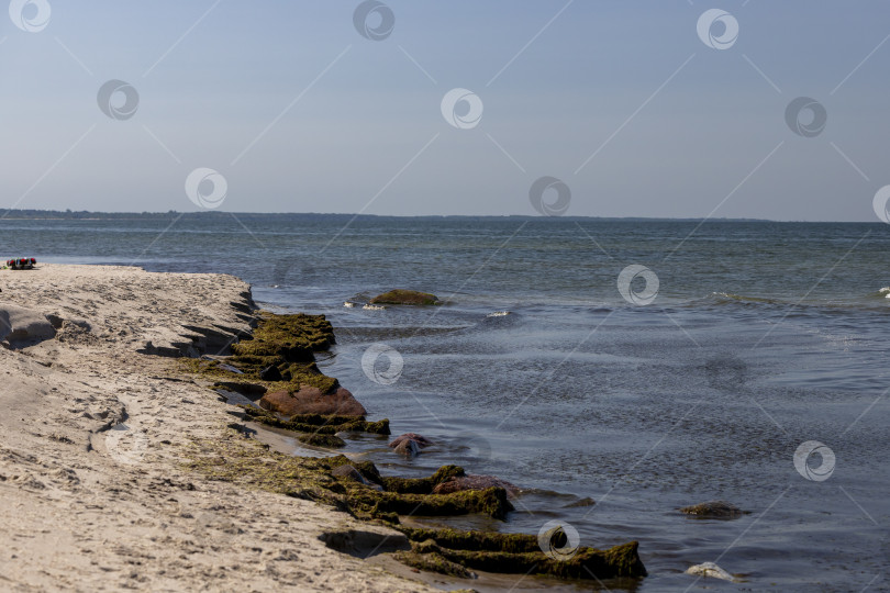 Скачать Вид на Балтийское море фотосток Ozero