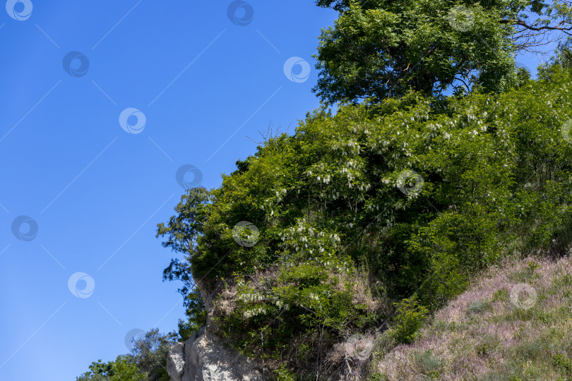 Скачать Прекрасный вид на скалу с зелеными деревьями фотосток Ozero