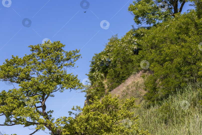 Скачать Ландшафтный вид на склон холма фотосток Ozero