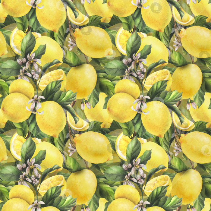 Скачать Лимоны желтые, сочные, спелые, с зелеными листьями, цветочными бутонами на ветках, целые и дольками. Акварельная ботаническая иллюстрация, нарисованная от руки. Бесшовный узор на белом фоне. фотосток Ozero