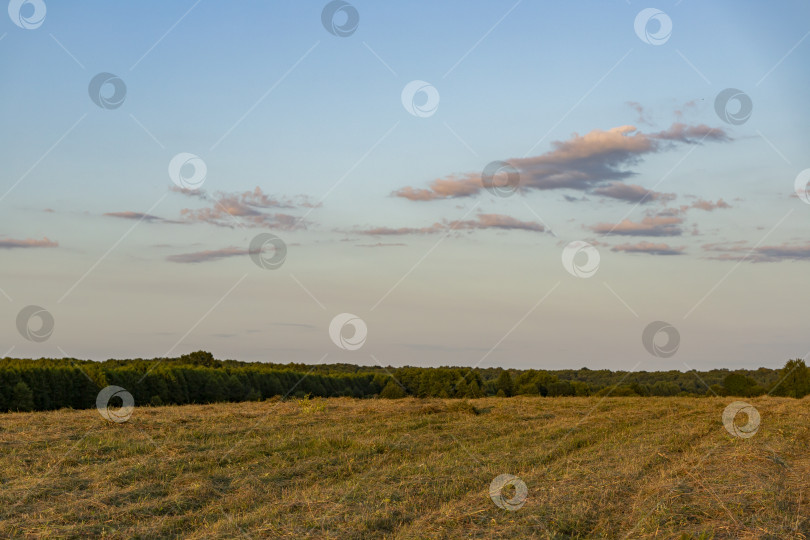 Скачать Закат над полем фотосток Ozero