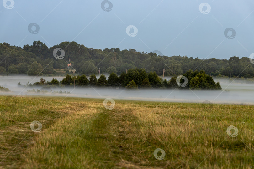 Скачать Туманное утро на лугу фотосток Ozero