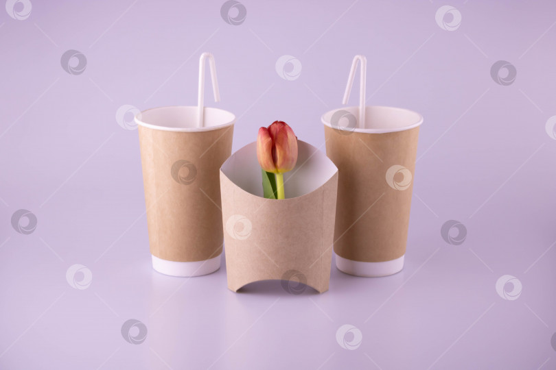 Скачать Два бумажных стаканчика с соломинкой и контейнер для картофеля фри с цветком тюльпана. фотосток Ozero