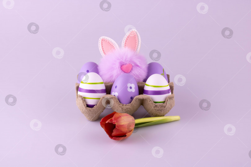 Скачать Пушистый сиреневый кролик в коробке из-под яиц, рядом с ним лежат пасхальные яйца фотосток Ozero