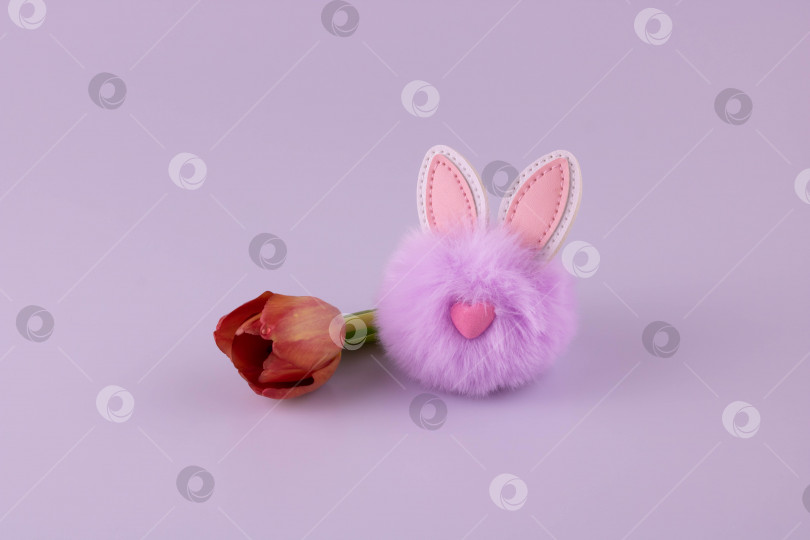 Скачать Сиреневый пушистый игрушечный кролик с тюльпаном на розовом фоне фотосток Ozero
