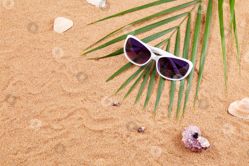 Скачать Летний фон. Солнцезащитные очки, ракушки и пальмовые листья на песке на пляже. фотосток Ozero