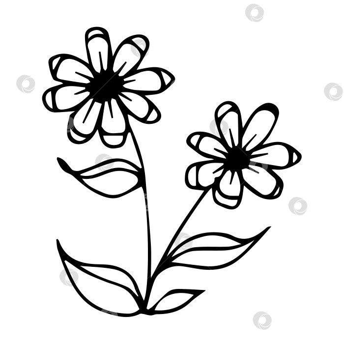 Скачать нарисованный от руки элемент ботанического цветочного каракуля для концепции цветочного дизайна фотосток Ozero