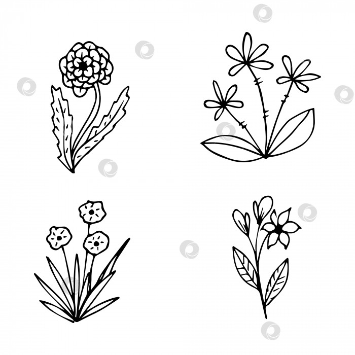 Скачать коллекция нарисованных от руки элементов ботанического цветочного каракуля для концепции цветочного дизайна фотосток Ozero