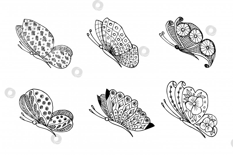 Скачать Набор нарисованных от руки каракулевых элементов бабочки для раскрашивания, приглашения, открытки. фотосток Ozero