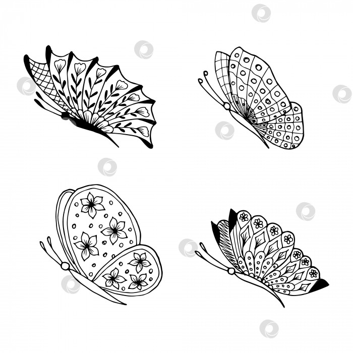 Скачать Набор нарисованных от руки каракулевых элементов бабочки для раскрашивания, приглашения, открытки. фотосток Ozero