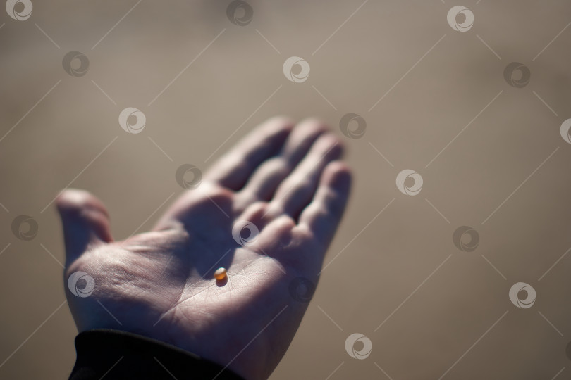 Скачать Маленький кусочек янтаря на руке в солнечном свете фотосток Ozero