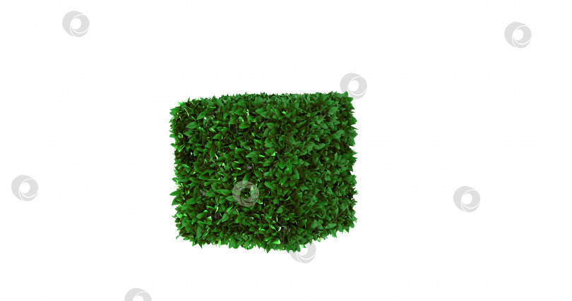 Скачать изолируйте кубик травы, экологию, охрану природы, резной элемент дизайна 3D-изображения. фотосток Ozero