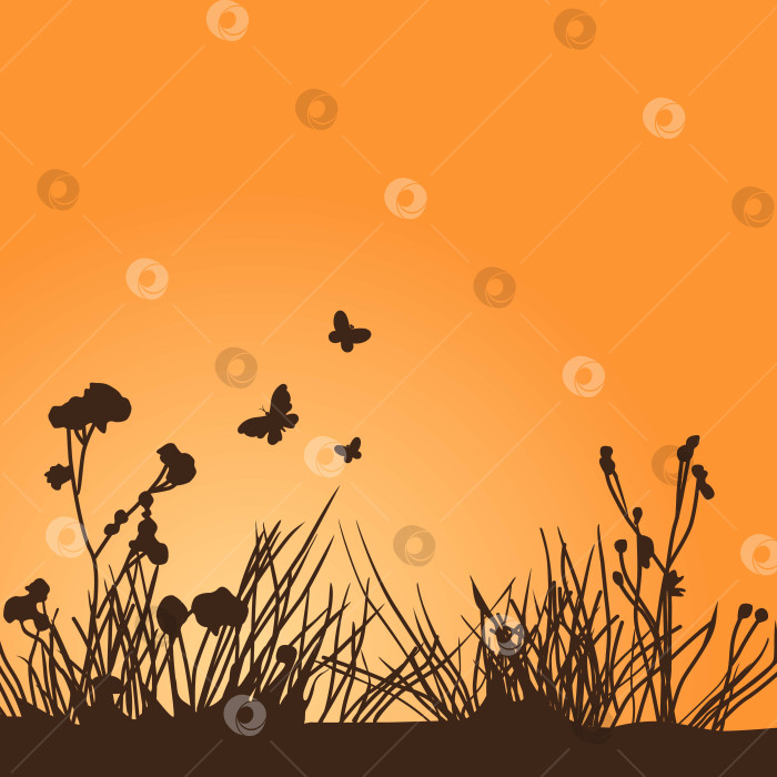 Скачать силуэты бабочек и растений на оранжевом фоне фотосток Ozero