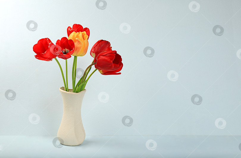 Скачать Абстрактная цветочная композиция, Домашний интерьер с красивыми весенними тюльпанами в вазе, баннер, натюрморт с пространством для текста, цветочное поздравление с праздником в автомобиле фотосток Ozero