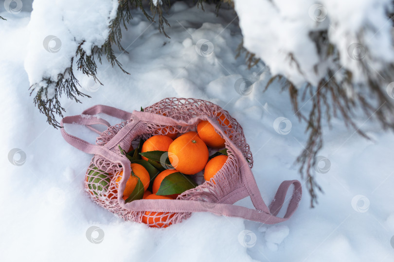 Скачать Авоська, полная мандаринов, на снегу под рождественской елкой фотосток Ozero