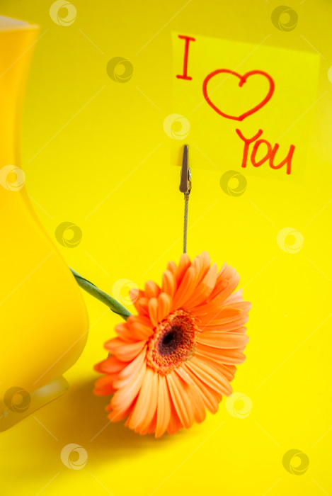 Скачать Гербера рядом с вазой из желтого стекла на изолированном желтом фоне и надписью на листовке: "Я люблю тебя". фотосток Ozero