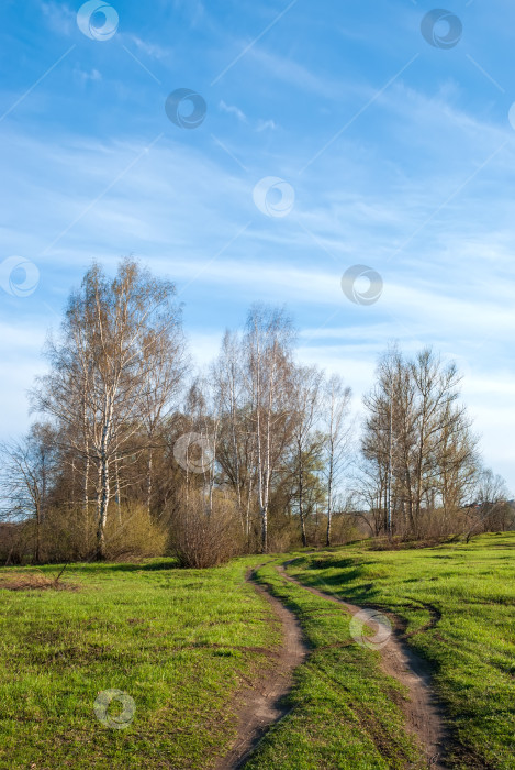 Скачать Весенний пейзаж. Зеленая трава, уходящая вдаль дорога и голубое небо. фотосток Ozero