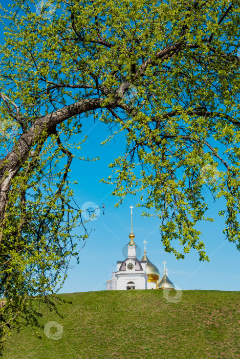 Скачать Купола Успенского собора в городе Дмитрове. фотосток Ozero