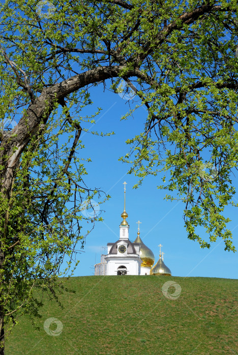 Скачать Купола Успенского собора в городе Дмитрове. фотосток Ozero