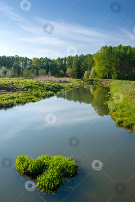 Скачать Весенний пейзаж леса на берегу реки и голубое небо с отражением в воде. фотосток Ozero