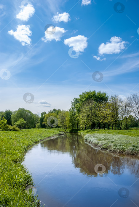 Скачать Летний пейзаж. Луг, пруд и деревья на фоне голубого неба с красивыми кучами облаков. фотосток Ozero
