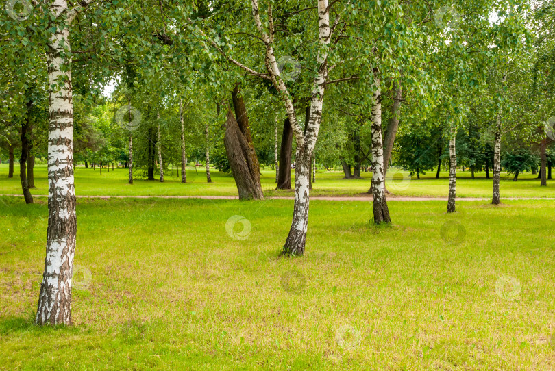 Скачать Весенний пейзаж городского парка. Зеленая лужайка, деревья и дорожки. фотосток Ozero