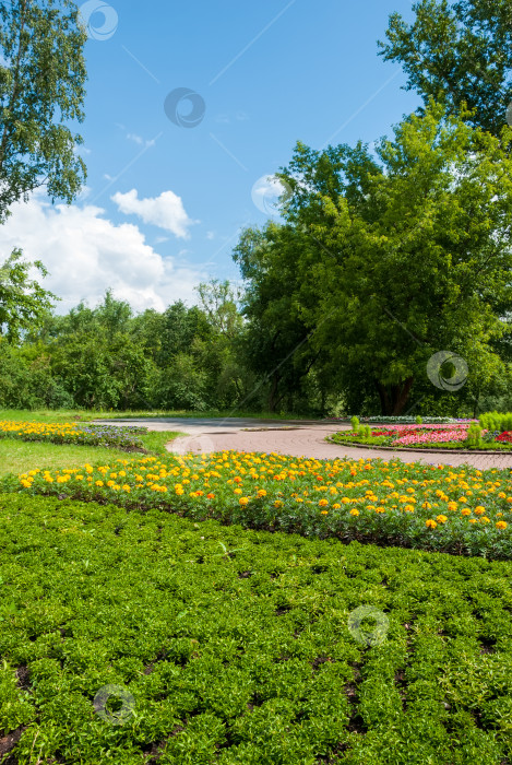 Скачать Цветущие цветы в городском парке. фотосток Ozero