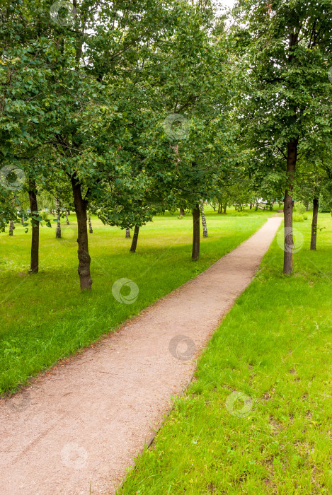 Скачать Весенний пейзаж городского парка. Зеленая лужайка, деревья и дорожки. фотосток Ozero