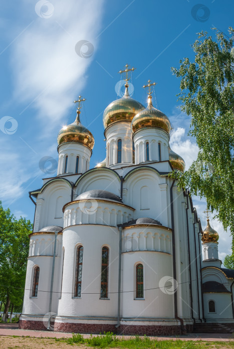 Скачать Свято-Николаевский собор. Летний пейзаж. Переславль-Залесский. фотосток Ozero