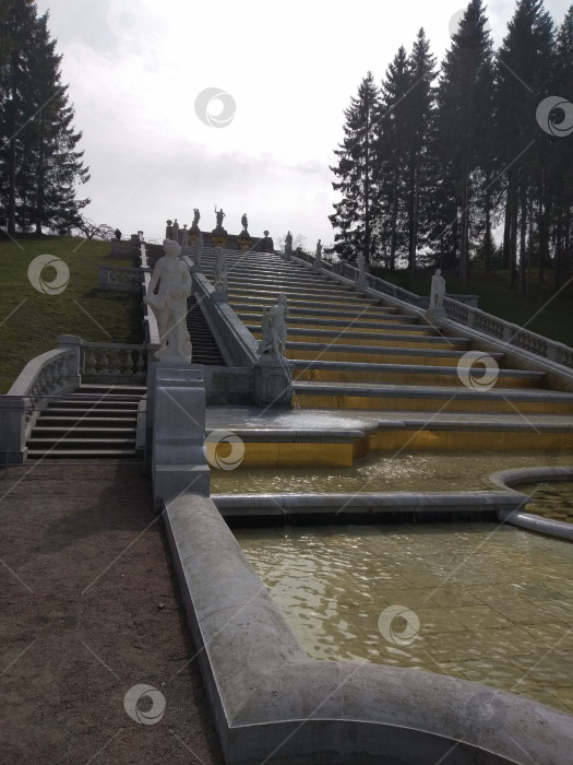 Скачать Музей-заповедник Петергоф. Каскад "Золотая гора". Фонтаны фотосток Ozero