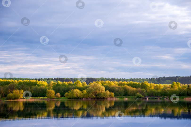 Скачать Осенний пейзаж с озером, деревьями с желтыми листьями и небом с красивыми облаками. фотосток Ozero
