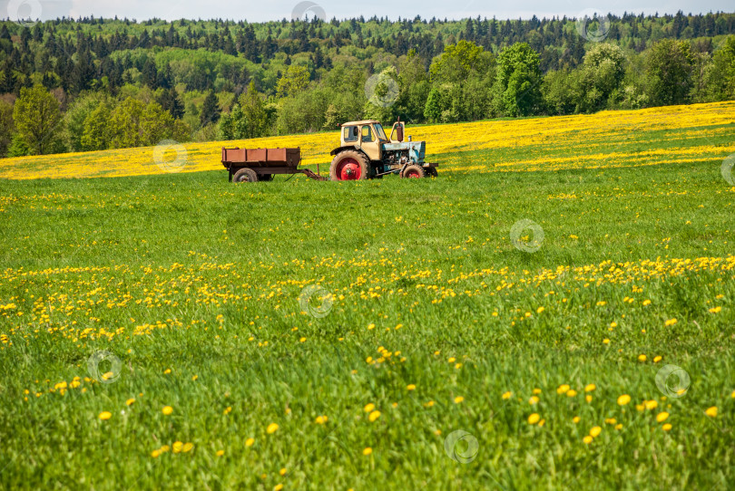 Скачать Летний сельский пейзаж. Поле одуванчиков и трактор с тележкой на горизонте. фотосток Ozero