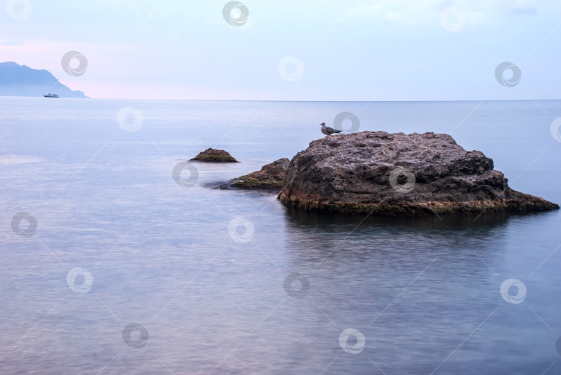 Скачать Утренний морской пейзаж. Морская вода при длительном воздействии, камни и утесы. Красивое небо с облаками. фотосток Ozero