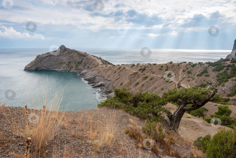 Скачать Крымский полуостров. Горный дракон на фоне Черного моря и прекрасного неба. фотосток Ozero