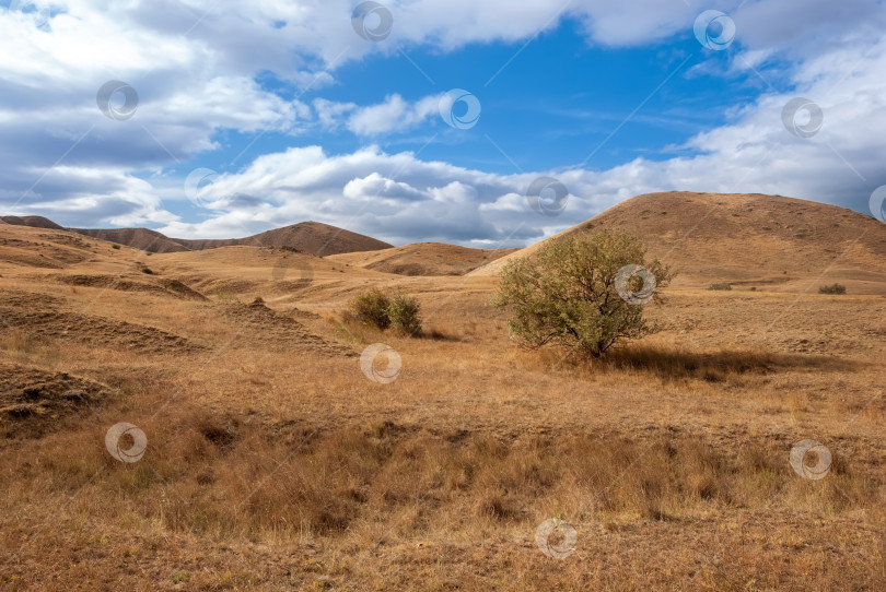 Скачать Красивый пейзаж. Крымский полуостров. Степи фотосток Ozero