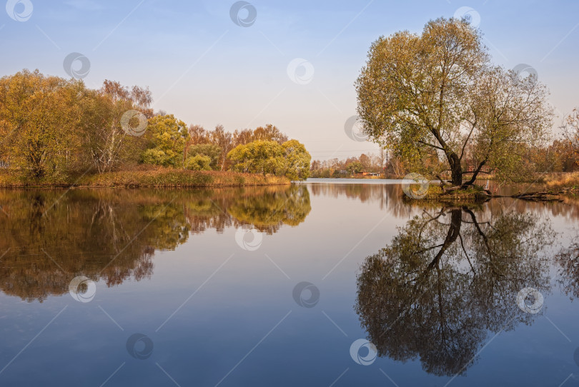 Скачать Осенний пейзаж. Золотистые деревья на берегу озера. фотосток Ozero