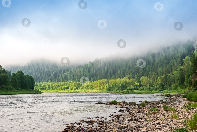 Скачать Пейзажи Сибири. Раннее утро на реке Кия. Туман опускается на реку над тайгой. Кемеровская область. фотосток Ozero