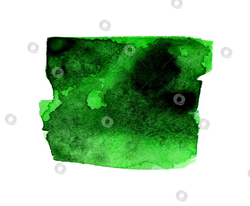 Скачать Акварельный мазок зеленой краской фотосток Ozero