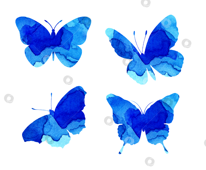 Скачать Набор голубых акварельных бабочек фотосток Ozero