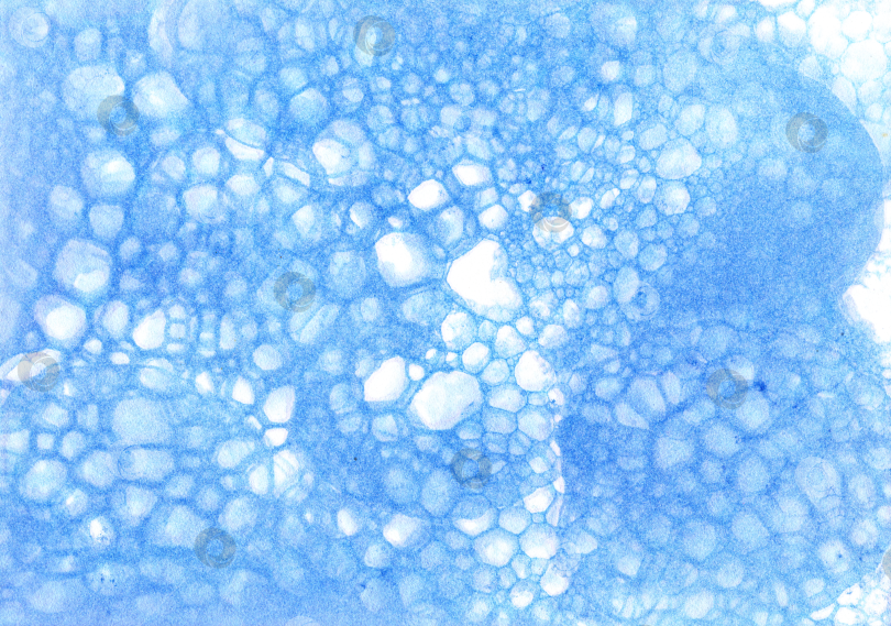 Скачать Акварельно-голубой фон с пузырьками фотосток Ozero