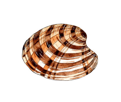 [object Object] undefined