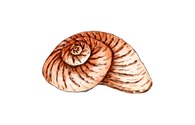 [object Object] undefined