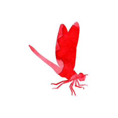 [object Object] undefined