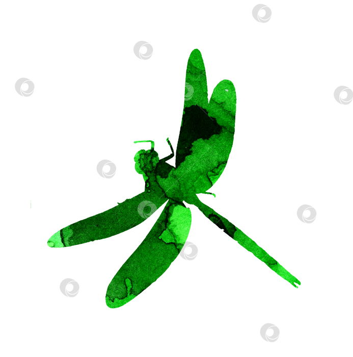 Скачать Силуэт стрекозы зеленый фотосток Ozero
