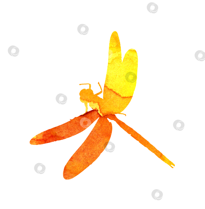 Скачать Силуэт стрекозы оранжевый фотосток Ozero