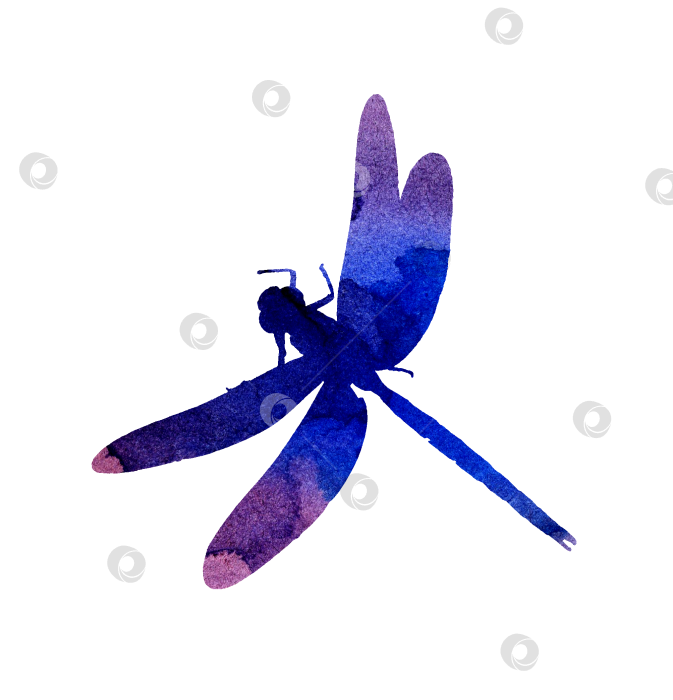 Скачать Сиренево-голубой силуэт стрекозы фотосток Ozero