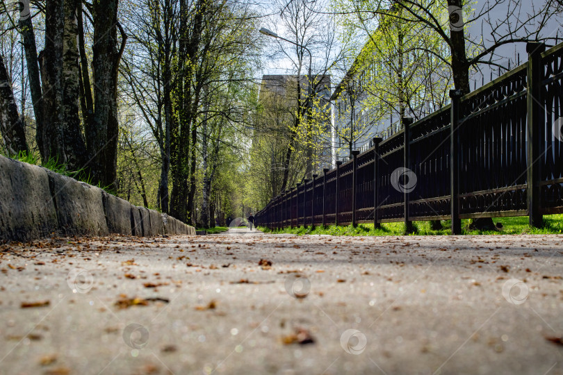 Скачать Выложенная плиткой аллея в парке в парке фотосток Ozero