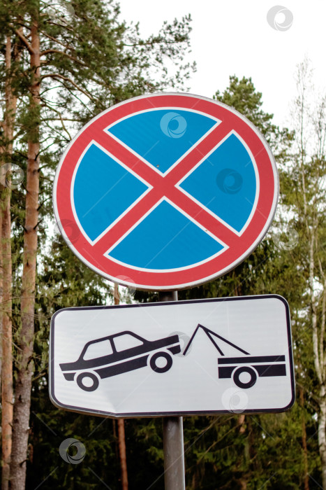 Скачать Дорожный знак "Без остановки" на фоне зеленых деревьев фотосток Ozero